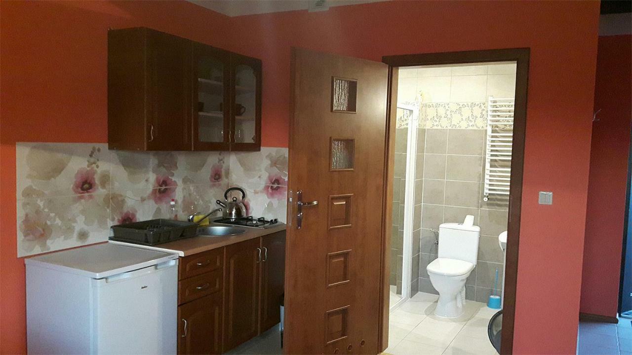 Apartamenty "Anusia" Ledzin Kültér fotó