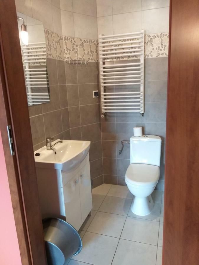 Apartamenty "Anusia" Ledzin Kültér fotó