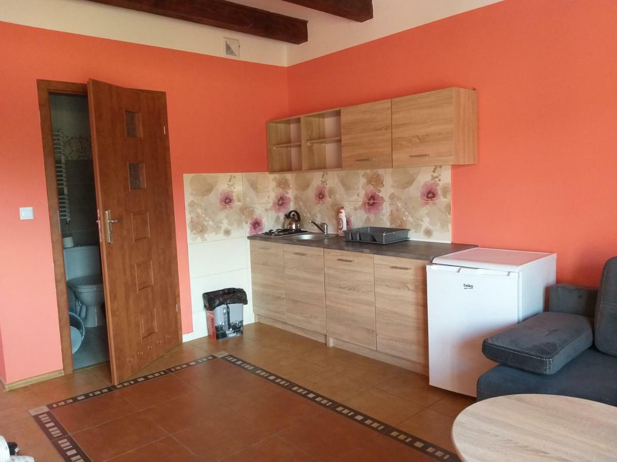 Apartamenty "Anusia" Ledzin Kültér fotó